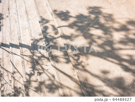 Tree leaves shadow on cement floor Stairs step Outdoor Landscape Abstract background Tree leaves shadow on cement floor Stairs step Outdoor Landscape Abstract background 64489327