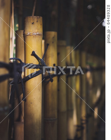 Bamboo fence with tied rope Japanese garden details Bamboo fence with tied rope Japanese garden details 64489328