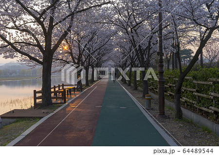 安山市 韓国 湖 64489544