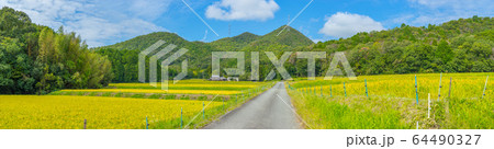 丹波の名山、虚空蔵山(こくぞうさん)登山口(兵庫県三田市)※作品コメント欄に撮影位置 丹波の名山、虚空蔵山(こくぞうさん)登山口(兵庫県三田市)※作品コメント欄に撮影位置 64490327