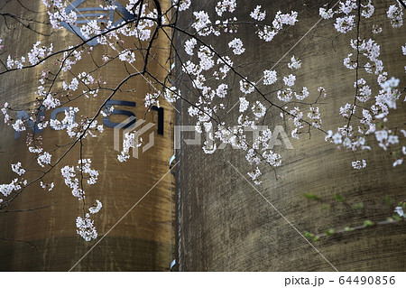 工場と桜 工場と桜 64490856