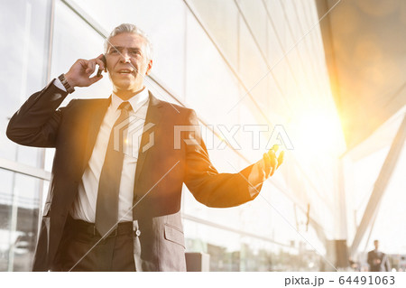 Mature businessman talking on smartphone in 64491063