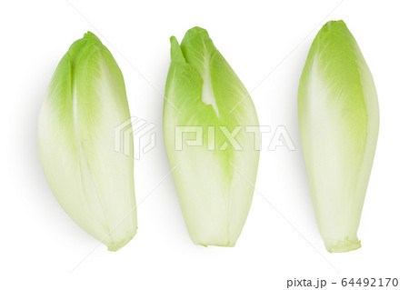 Chicory salad isolated on white background with clipping path and full depth of field. Top view. Flat lay 64492170