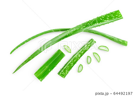 Aloe vera with slices isolated on white background. Top view. Flat lay. 64492197