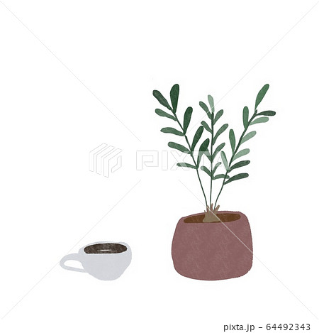 ザミアの鉢植えと、コーヒーカップ 64492343