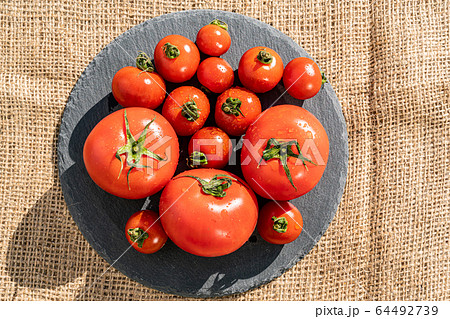 トマト　 64492739