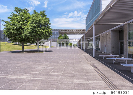 キャンパスの風景　学校イメージ　教育施設　イメージ素材　大学　スクールライフ 64493054