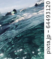海 64493120