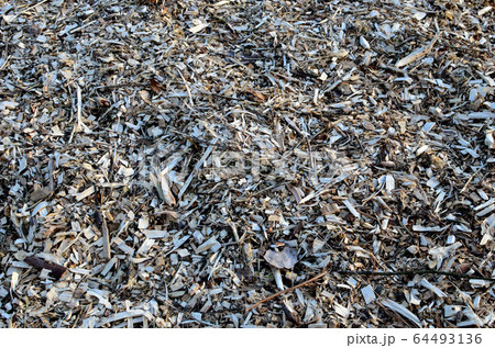 A pile of sawdust after cutting wood products at a woodworking enterprise, sawmill, background 64493136