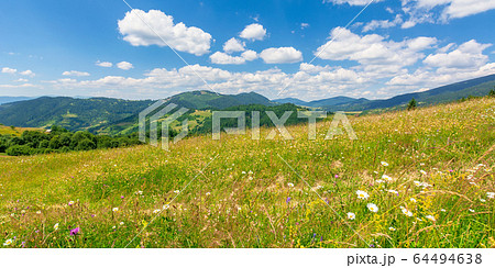 summer scenery of mountainous countryside. alpine 64494638