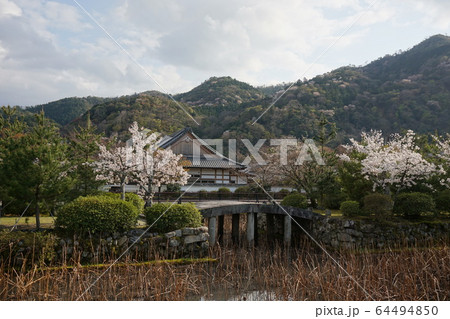 京都 臨済宗天龍寺 放生池 京都 臨済宗天龍寺 放生池 64494850