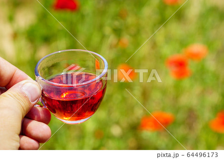 五味子茶 伝統茶 五味子 64496173