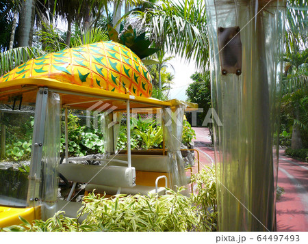 パイナップルパーク パイナップル号 パイナップルパーク パイナップル号 64497493