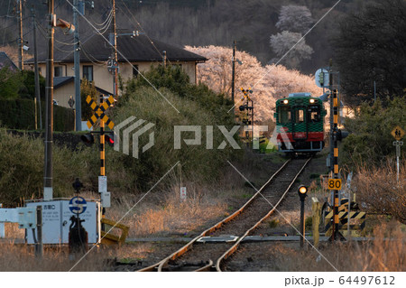 夕暮れの真岡鐵道 夕暮れの真岡鐵道 64497612