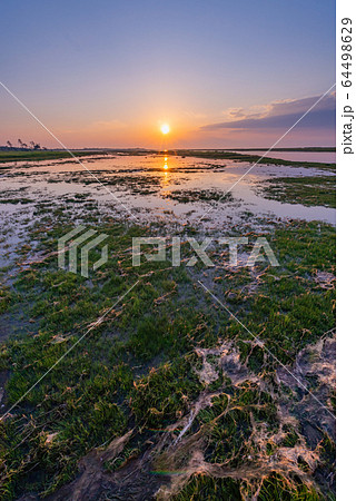 北海道の風景(春国岱) 北海道の風景(春国岱) 64498629