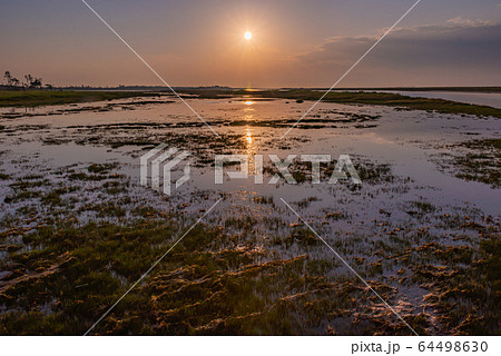 北海道の風景（春国岱） 64498630