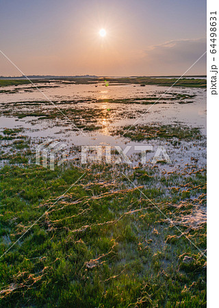 北海道の風景(春国岱) 北海道の風景(春国岱) 64498631