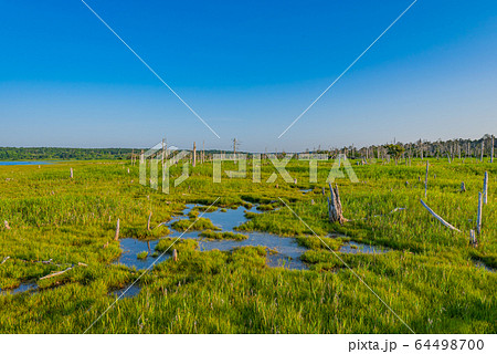 北海道の風景(春国岱) 北海道の風景(春国岱) 64498700