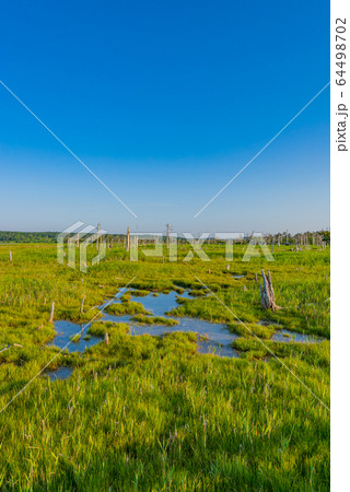 北海道の風景（春国岱） 64498702