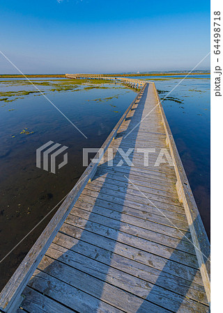 北海道の風景（春国岱） 64498718