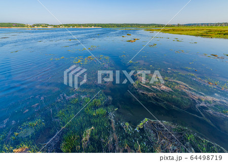 北海道の風景（春国岱） 64498719