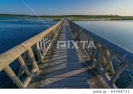 北海道の風景（春国岱） 64498731