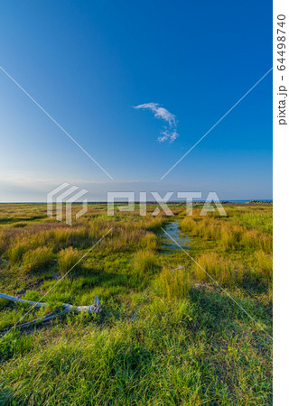 北海道の風景(春国岱) 北海道の風景(春国岱) 64498740
