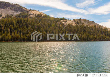 Views of the water and surroundings of Lake Tenaya at one of the entrances to Yosemite National Park, California, USA 64501660