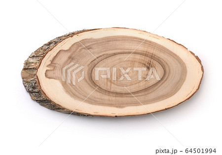 Tree trunk cross section Tree trunk cross section 64501994