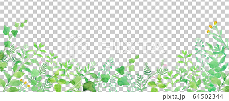 グリーンの草花の横長装飾フレーム　水彩イラスト 64502344