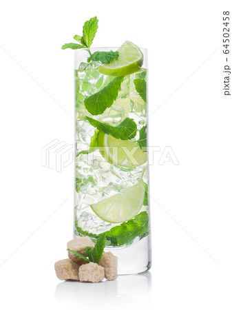 Highball glass of Mojito summer alcoholic cocktail Highball glass of Mojito summer alcoholic cocktail 64502458