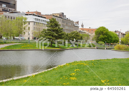 モントリオール　セントローレンス川 64503261