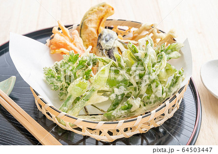 山菜の天ぷら 山菜の天ぷら 64503447