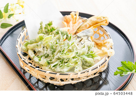 山菜の天ぷら 64503448