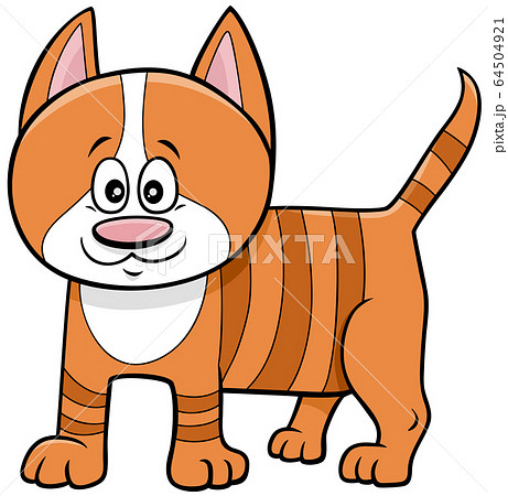 cute kitten cartoon animal character cute kitten cartoon animal character 64504921
