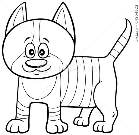 cute kitten cartoon character coloring book page cute kitten cartoon character coloring book page 64504922