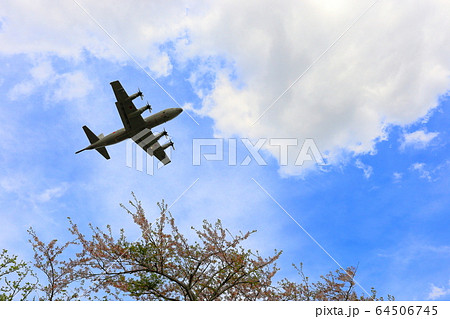 青空と桜と飛行機 64506745