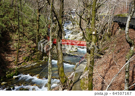 岩泉の清水川遊歩道から見える風景 岩泉の清水川遊歩道から見える風景 64507167