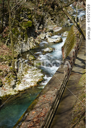 岩泉の清水川遊歩道から見える風景 64507169