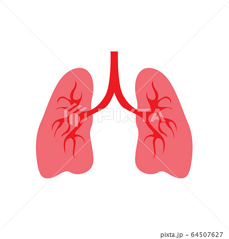 Human lung vector image template icon 64507627