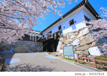 【愛媛県】 今治城 「鉄御門と桜」 64507628
