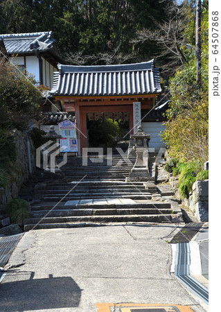 矢田寺 64507868