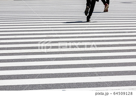 横断歩道　街角　ひと　歩行者 64509128