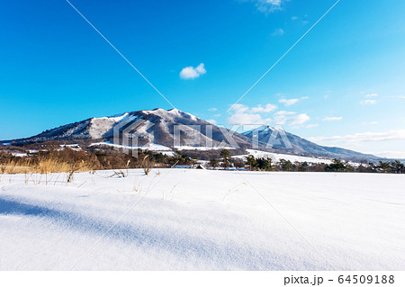 蒜山高原 スノーシュートレッキング 蒜山高原 スノーシュートレッキング 64509188