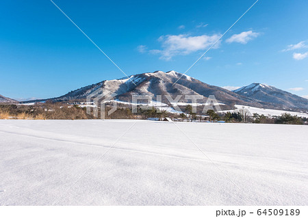 蒜山高原　スノーシュートレッキング 64509189
