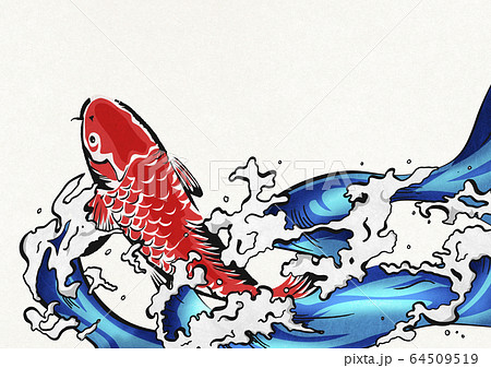 鯉の滝登り-錦鯉-水飛沫-水-躍動感 64509519