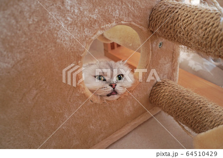 マインドフルネス'001 マインドフルネス'001 64510429