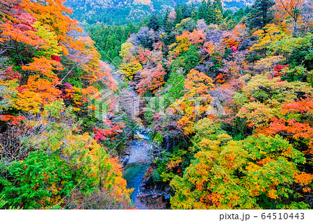 付知峡（秋） 64510443