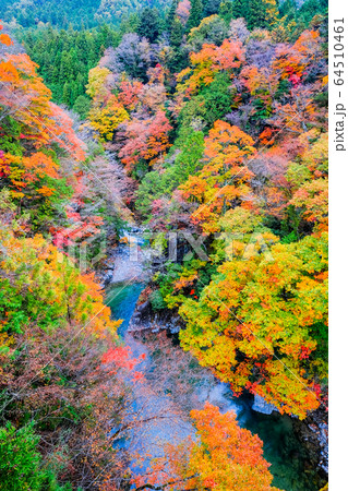 付知峡(秋) 付知峡(秋) 64510461
