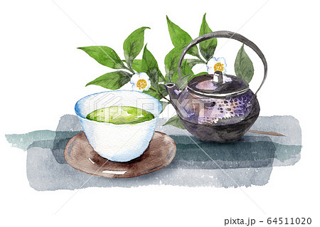 日本茶と茶の木 日本茶と茶の木 64511020